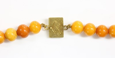 Lot 71 - A single row uniform spherical butterscotch amber bead necklace