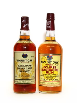Lot 197 - Two bottles of Mount Gay Rum, 1990s bottling