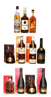 Lot 202 - Assorted Brandy; Remy Martin, VSOP, Fine Champagne Cognac, two bottles and nine various others