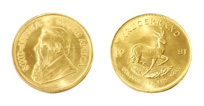 Lot 445 - A 1981 1oz fine gold Krugerrand