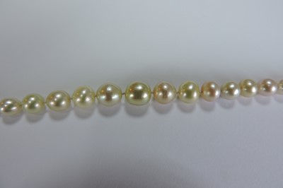 Lot 143 - A single row graduated natural saltwater pearl necklace
