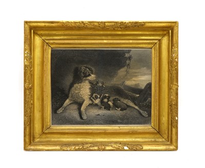 Lot 171 - A 19th century gilt framed print of a water spaniel and puppies