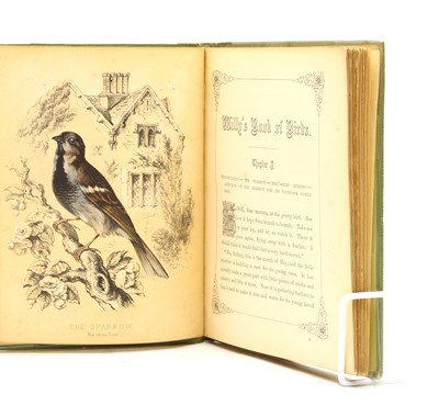 Lot 98 - Willy's Book of Birds by Mrs Mackie, London, Published at the "Geologist Office" 1860