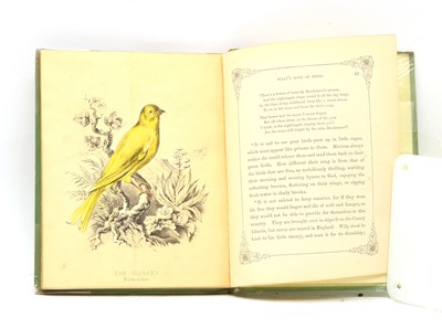Lot 98 - Willy's Book of Birds by Mrs Mackie, London, Published at the "Geologist Office" 1860