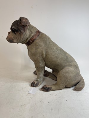 Lot 87 - A terracotta model of a bulldog