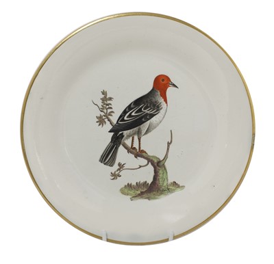 Lot 263 - A set of seven Davenport ornithological specimen plates