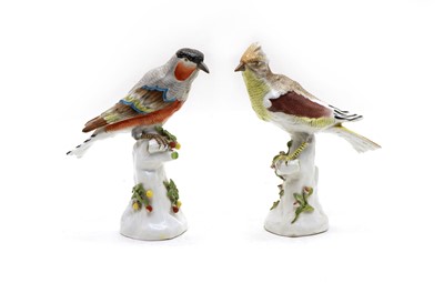 Lot 99A - Two Paris porcelain models of exotic birds