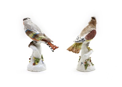 Lot 99 - Two Paris porcelain models of exotic birds