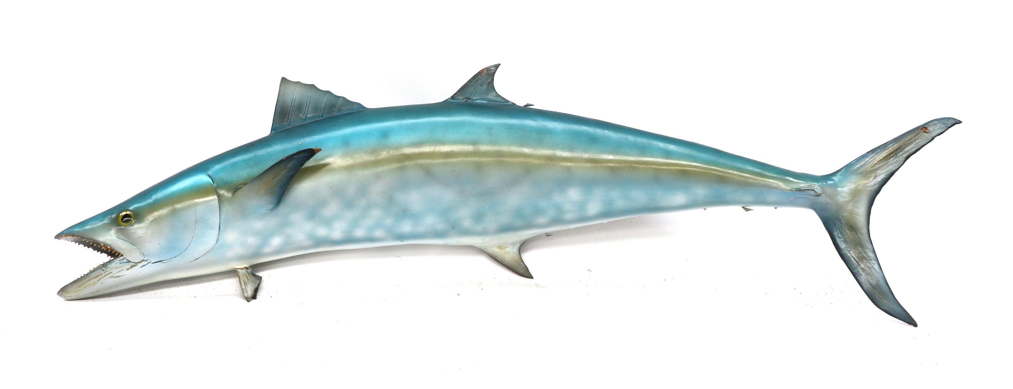 Lot 372 KING MACKEREL,