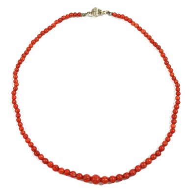 Lot 22 - A single row graduated coral bead necklace