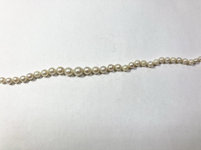 Lot 345 - Two rows of graduated cultured pearls