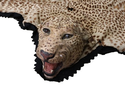 Lot 911 - A taxidermy African leopard-skin rug