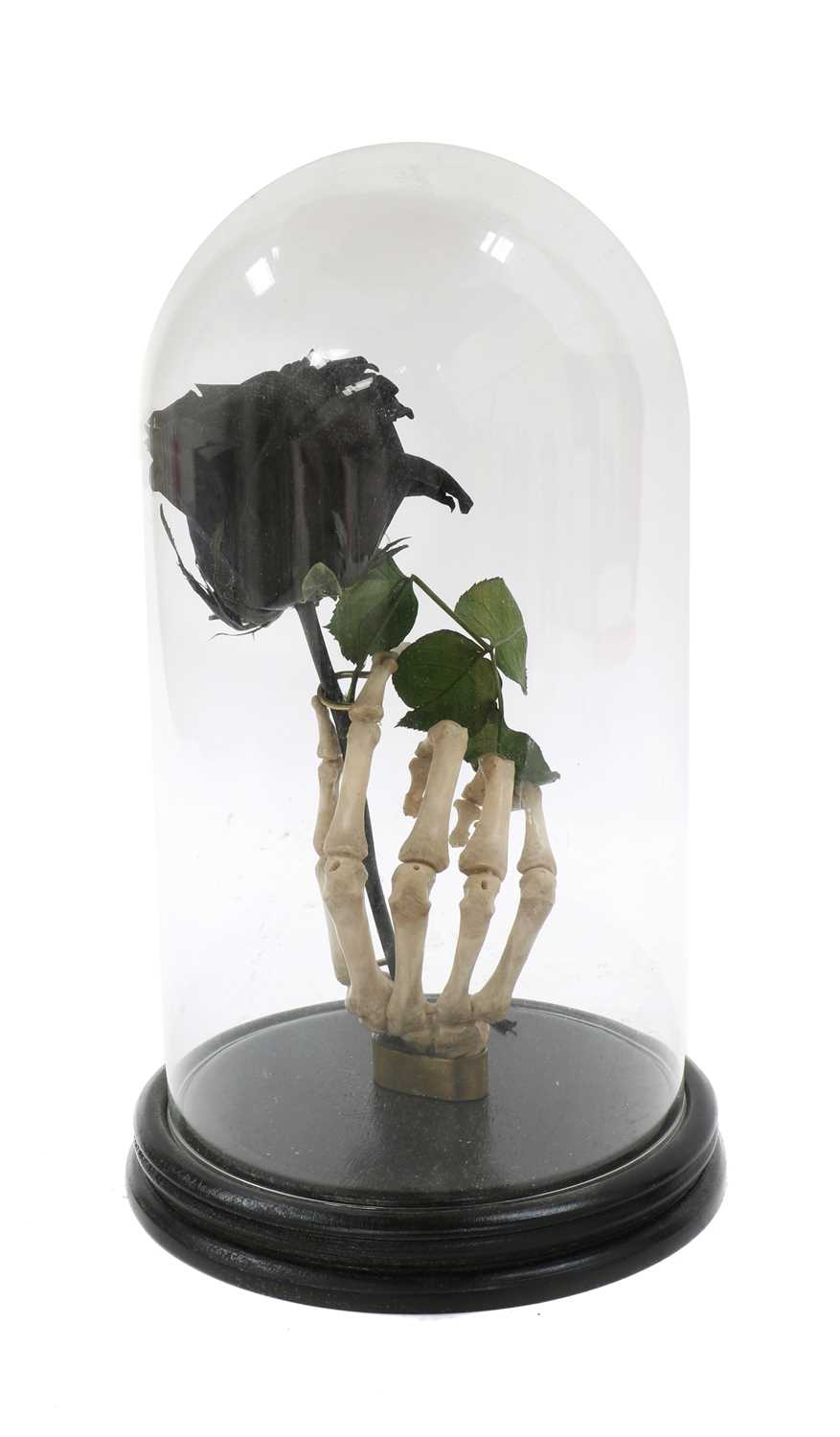 Lot 102 - A MOUNTED SKELETAL HAND