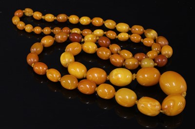 Lot 73 - A single row graduated olive shaped amber bead necklace