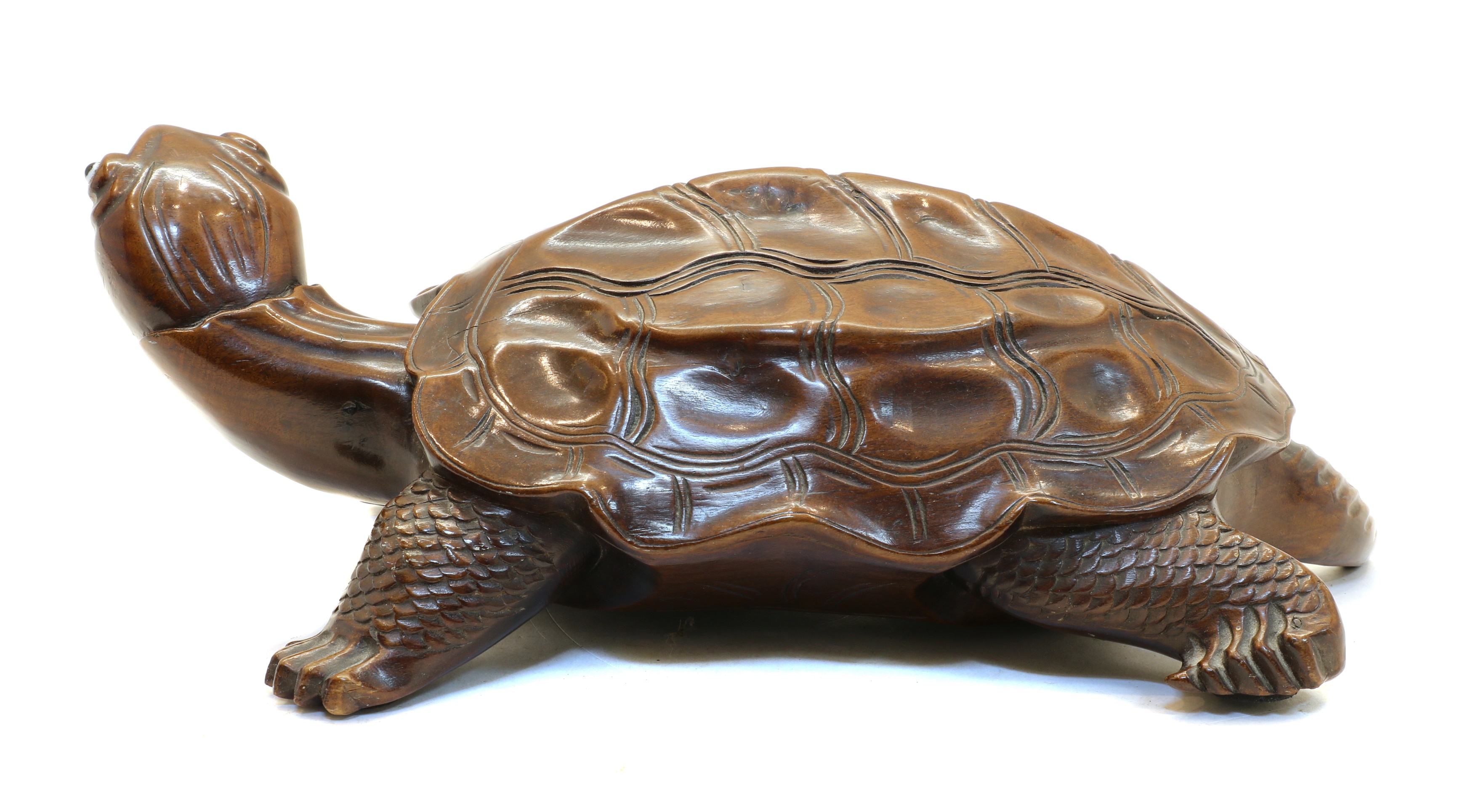 Lot 59 - A Chinese wood tortoise,