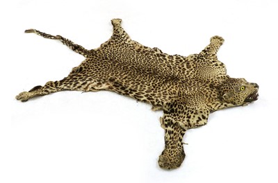 Lot 598 - An African leopard skin rug