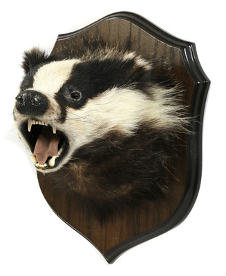 Lot 118 - Taxidermy: a badger mask