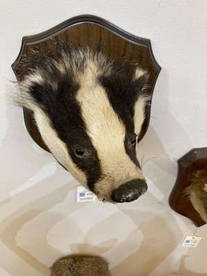 Lot 118 - Taxidermy: a badger mask