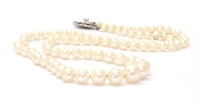 Lot 1312 - A single row graduated cultured pearl necklace