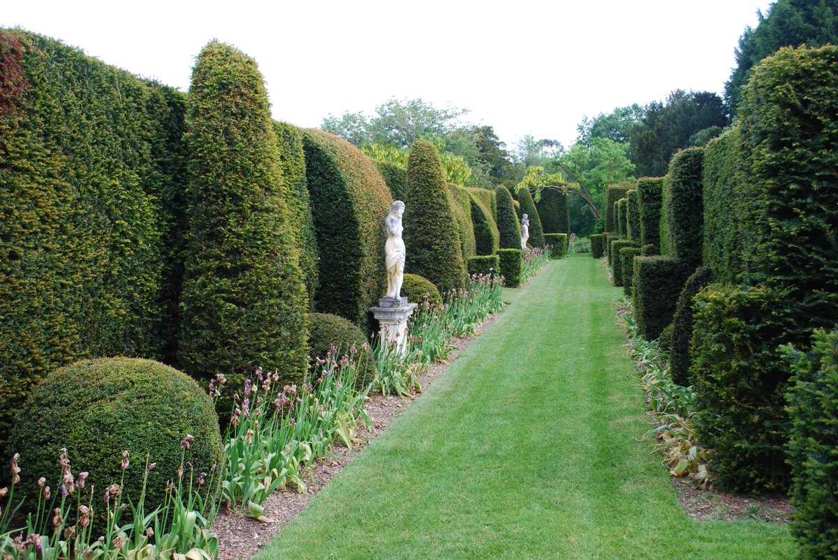 Lot 9 - A tour of Odsey Park Gardens with afternoon tea