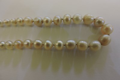 Lot 142 - A single row graduated natural saltwater pearl necklace