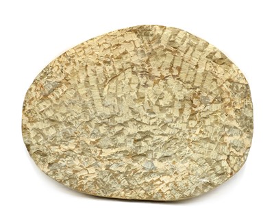 Lot 50 - A large Devonian period cambropallas trilobite