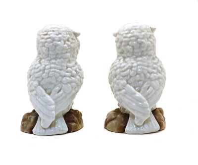 Lot 101 - A pair of continental white porcelain owls