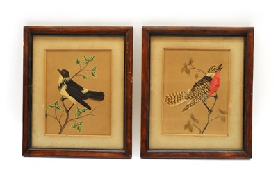 Lot 206 - A pair of feather bird pictures