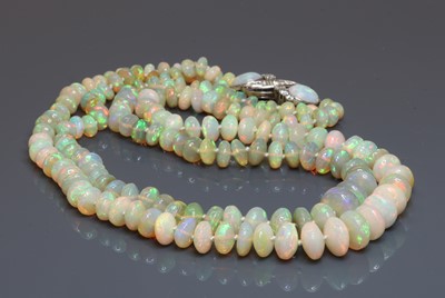 Lot 284 - A two row graduated opal bead necklace