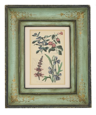 Lot 399 - A matched set of eight hand-coloured engraved botanical prints