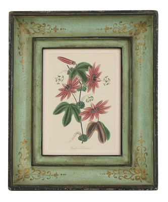 Lot 399 - A matched set of eight hand-coloured engraved botanical prints