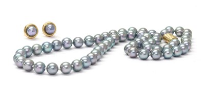 Lot 1305 - A single row uniform dyed cultured pearl necklace