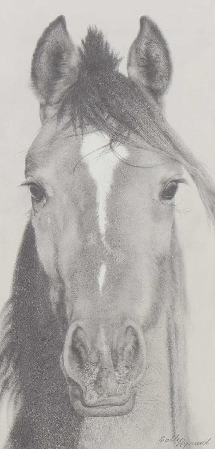 Lot 652 - Sally Hynard (20th century)