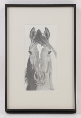 Lot 652 - Sally Hynard (20th century)