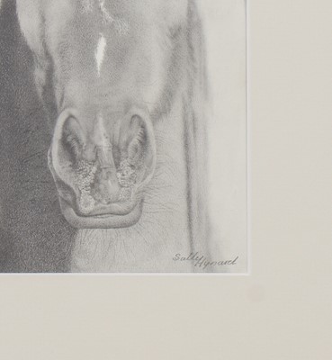 Lot 652 - Sally Hynard (20th century)