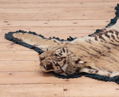 Lot 494 - A full head tiger skin rug