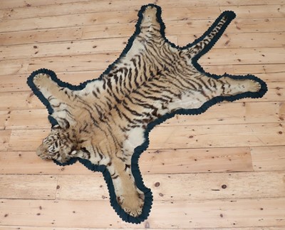 Lot 494 - A full head tiger skin rug