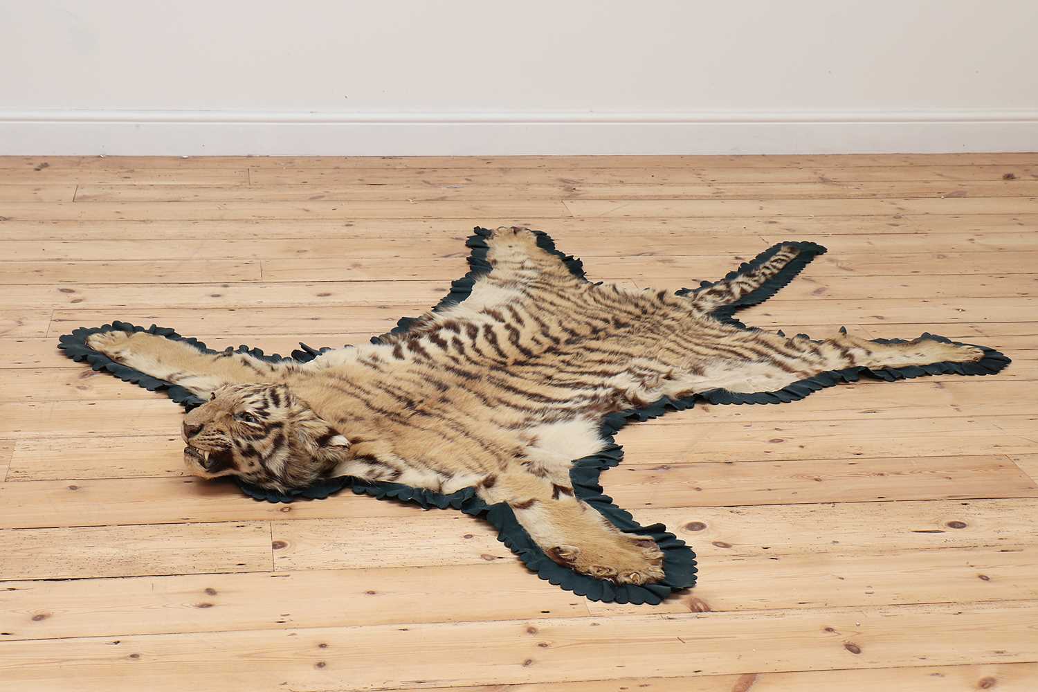 Lot 494 - A full head tiger skin rug,