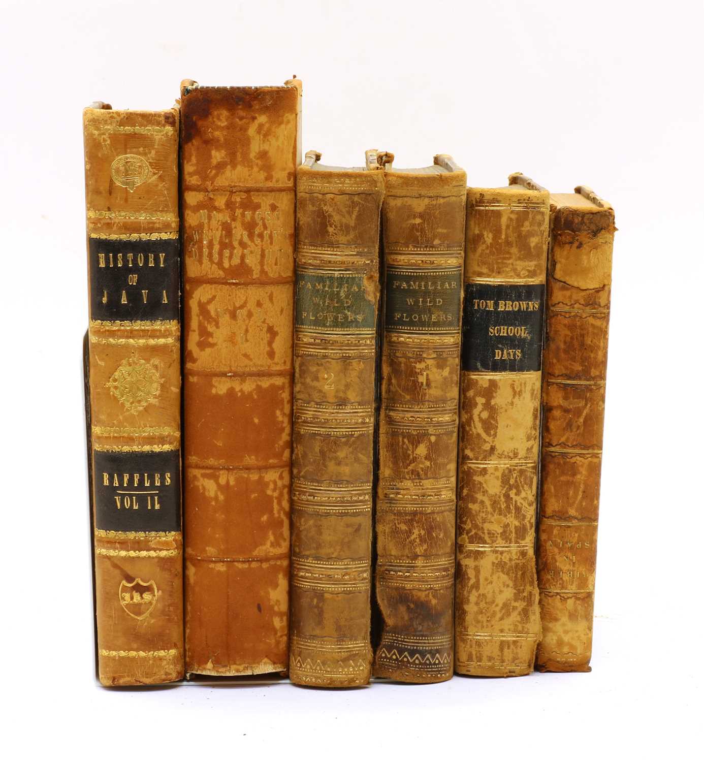 Lot 243 - Quantity of leather bound 19 Century books