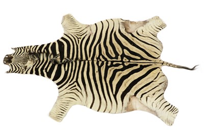 Lot 301 - A Zebra skin rug