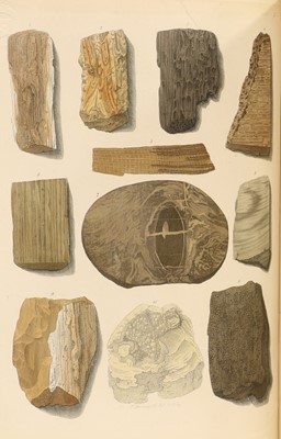 Lot 15 - Mantell, Gideon Algernon: A Pictorial Atlas of Fossil Remains