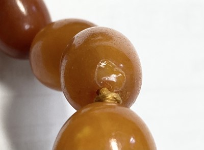 Lot 147 - A single row graduated butterscotch amber bead necklace