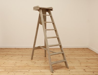 Lot 277 - A painted artist's studio ladder