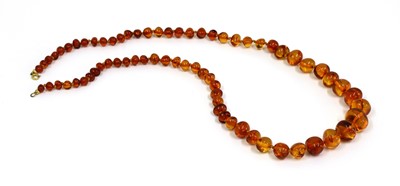 Lot 1170 - A single row graduated amber bead necklace
