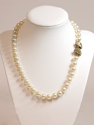 Lot 301 - A single row uniform cultured freshwater pearl necklace