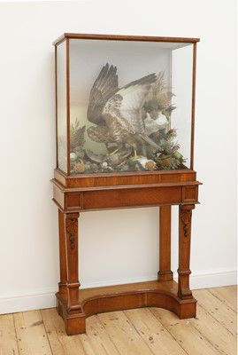 Lot 719 - A Victorian taxidermy diorama by Ashmead and Co.