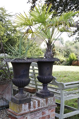 Lot 816 - A pair of cast iron urns