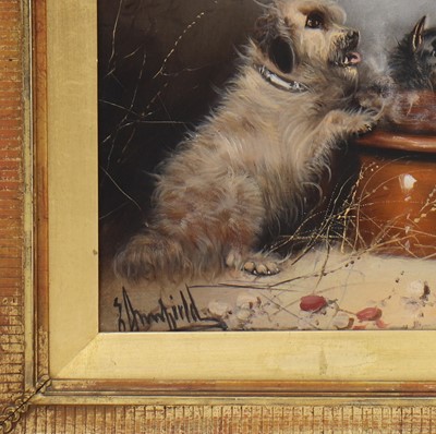 Lot 538 - Edward Armfield (1817-1896)