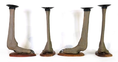 Lot 306 - Taxidermy: Four ostrich foot candle holders