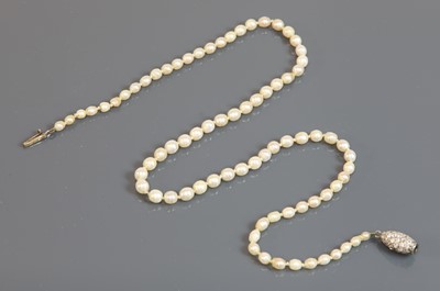 Lot 155 - A single row graduated pearl necklace